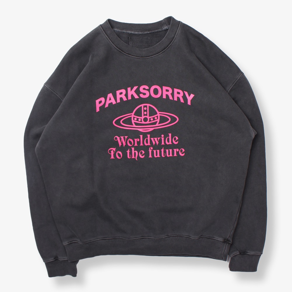 PARKSORRY